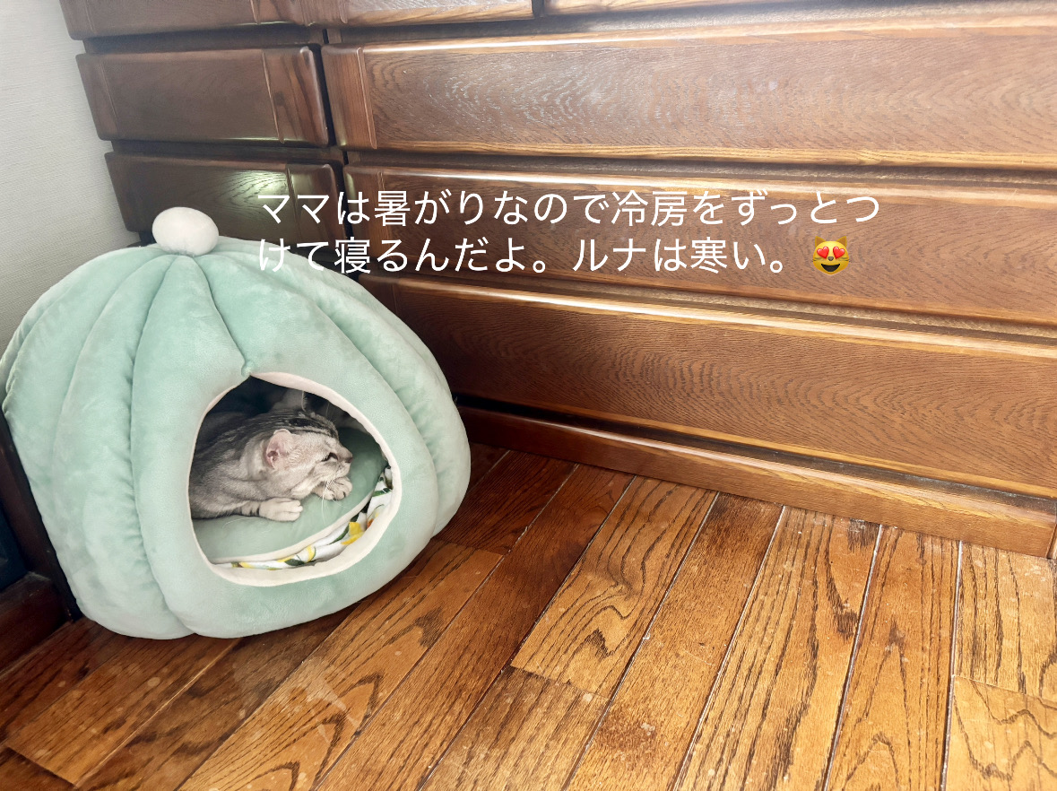 0D88408F-1D7F-4BB2-BAD3-BC6226C54D70.jpeg