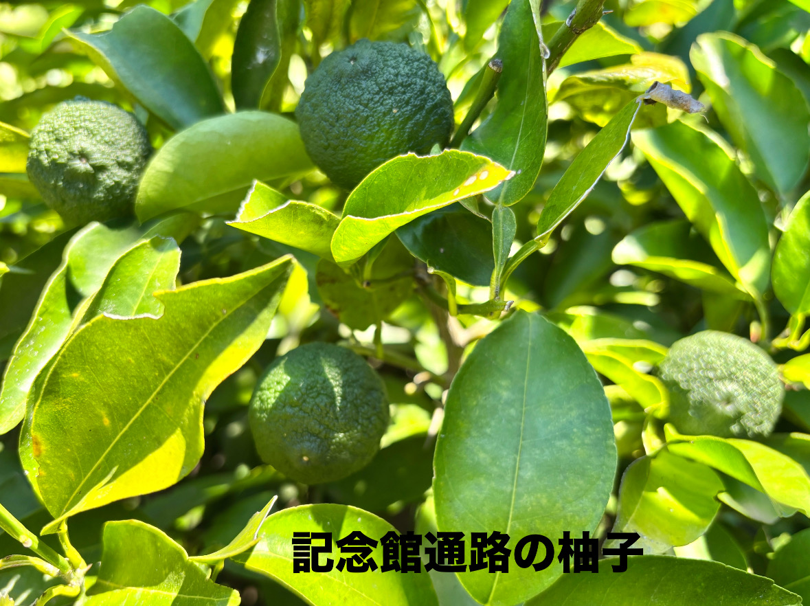 0BAFD5D9-23BF-442F-A411-17DF6388410A.jpeg