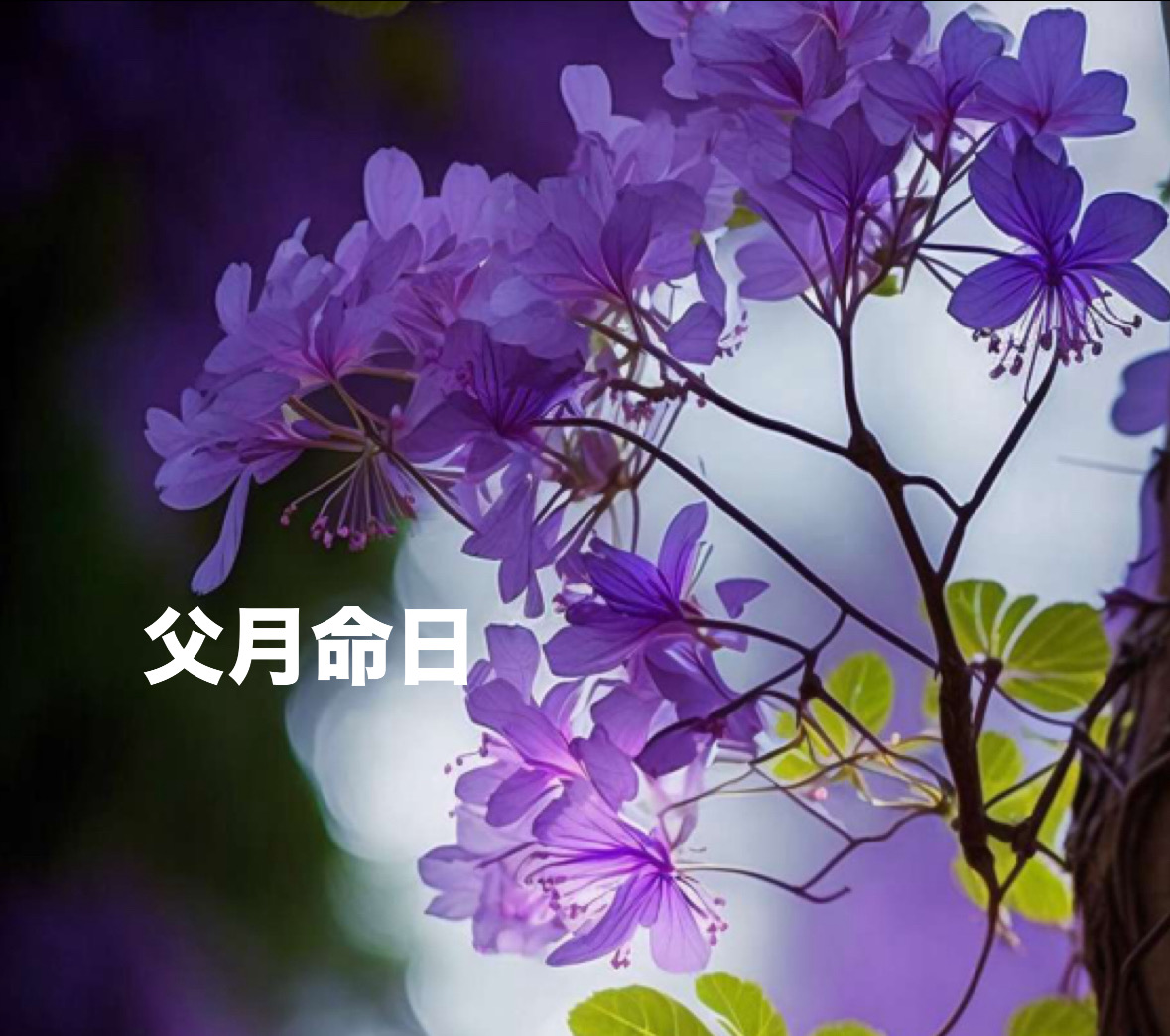 0DAA99E6-F208-4386-AD5A-86F24F81B22B.jpeg