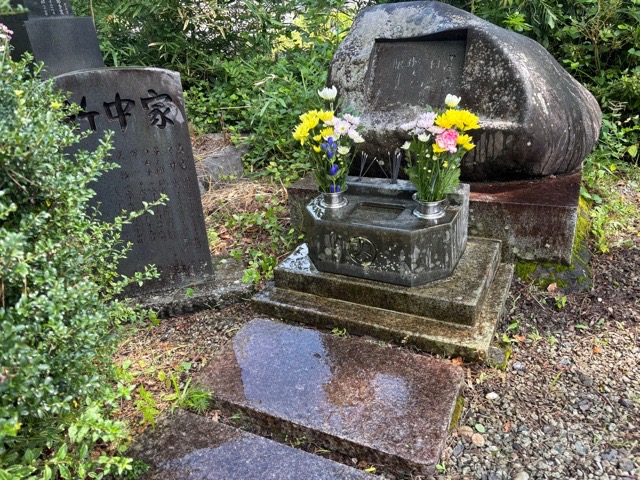 IMG_3137.jpeg