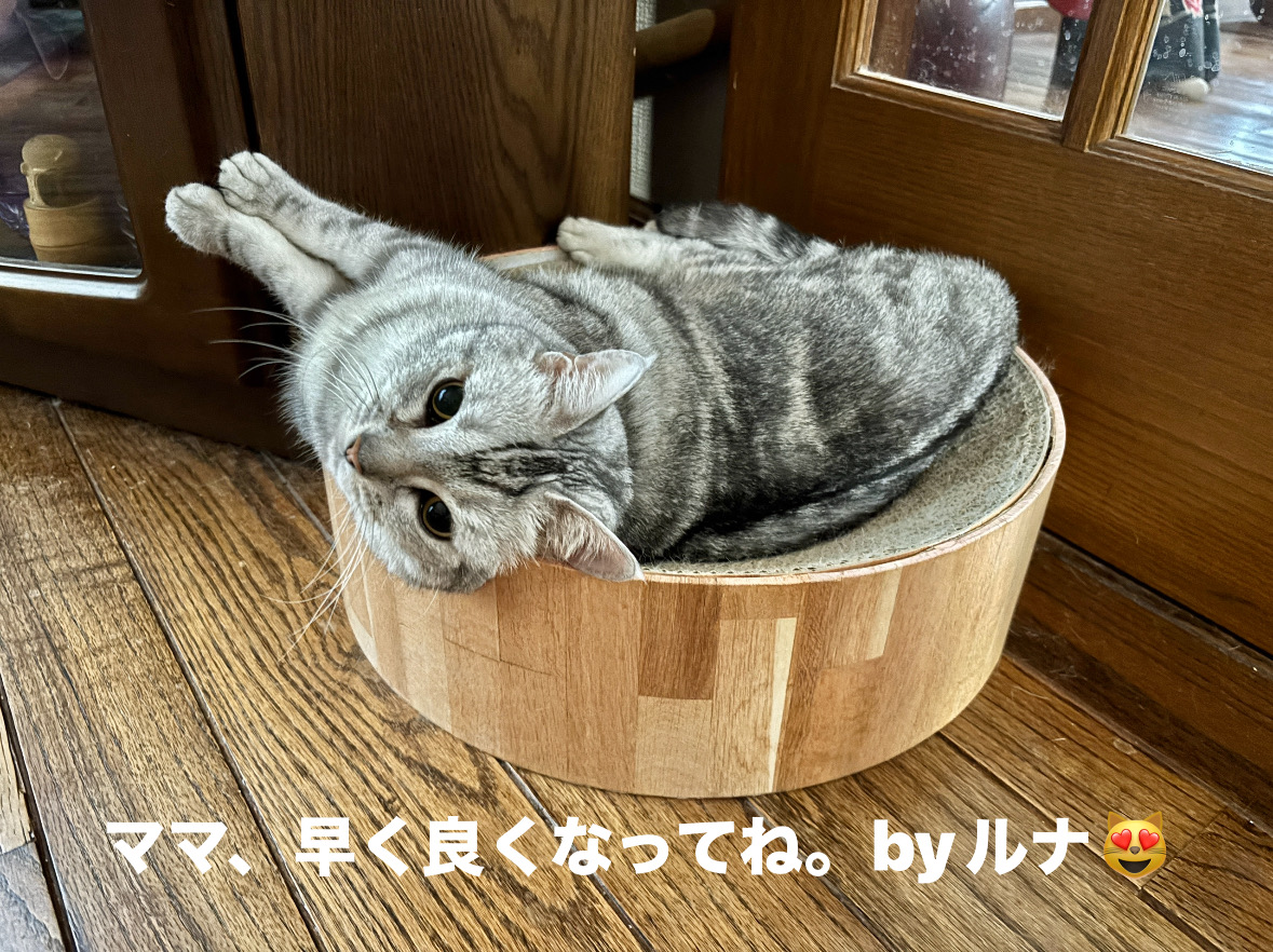 4D31C3F0-1C2D-4777-A691-835331CEA852.jpeg