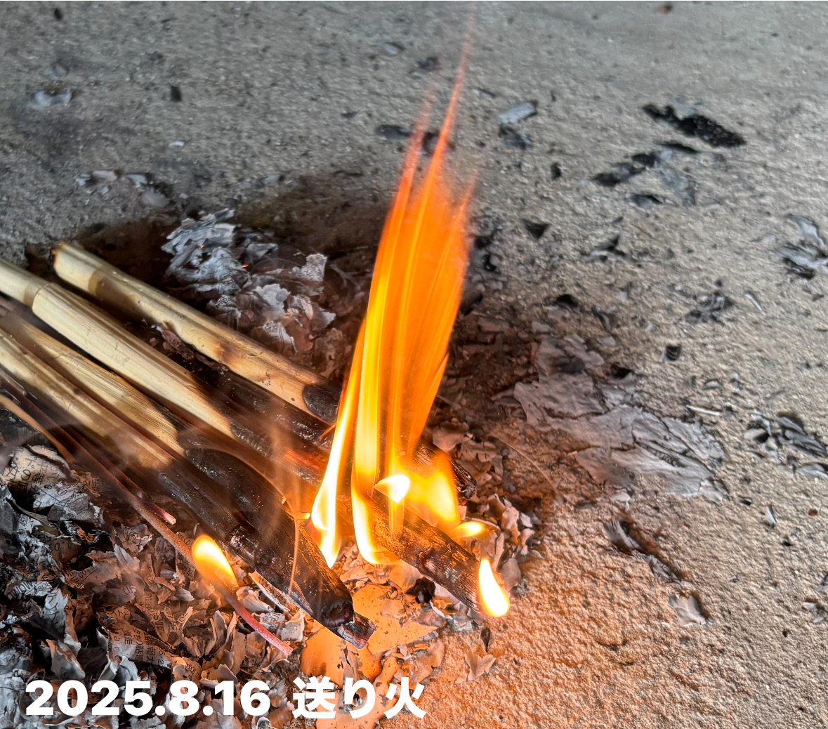 8D8E750F-1158-4524-8FDD-459338585500.jpeg