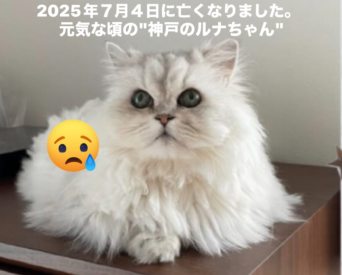 47BB44C3-6CE2-4A88-B742-E97BD67B1C69.jpeg