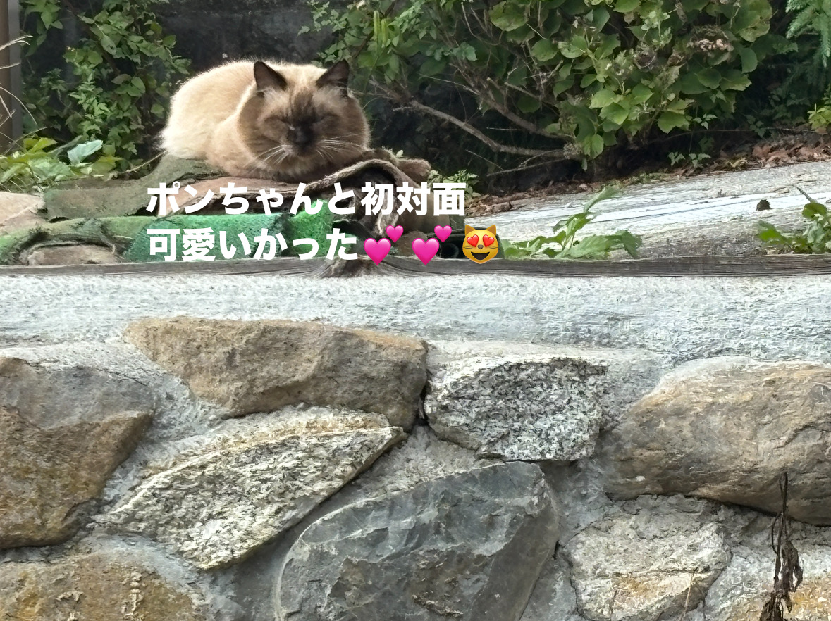 3BDC0141-BD8E-463C-ACFB-F537EC7E084C.jpeg