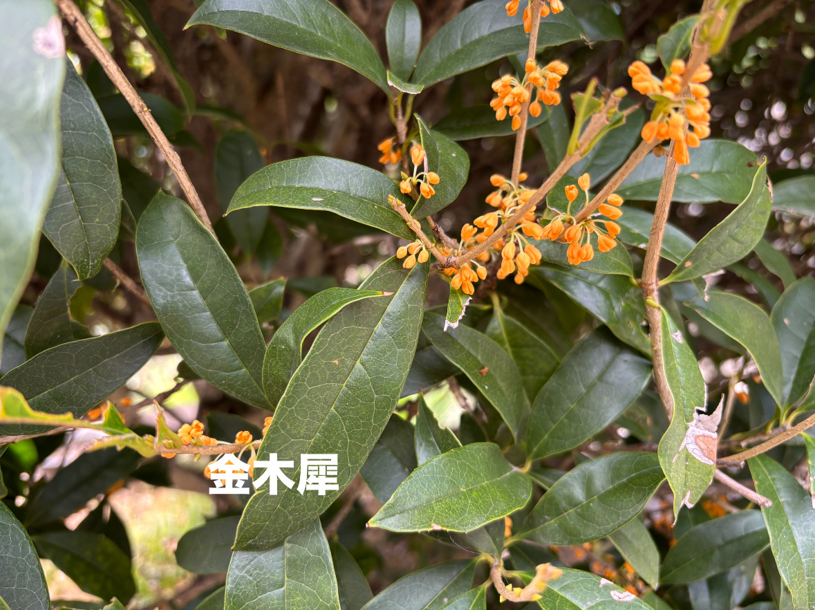 32D9D719-6459-4D24-B1D4-07ED01EF0849.jpeg