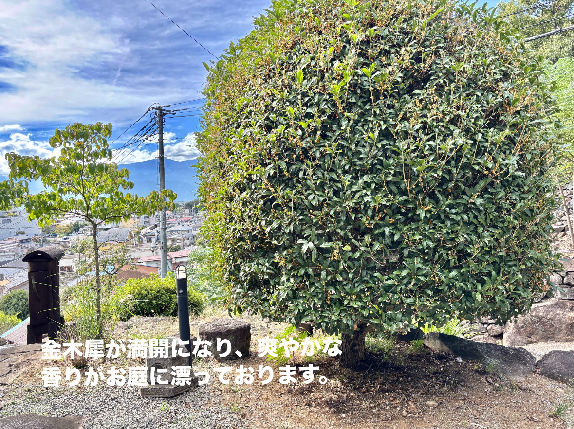 4DBEC97D-8770-494D-8F64-D81443143FEC.jpeg