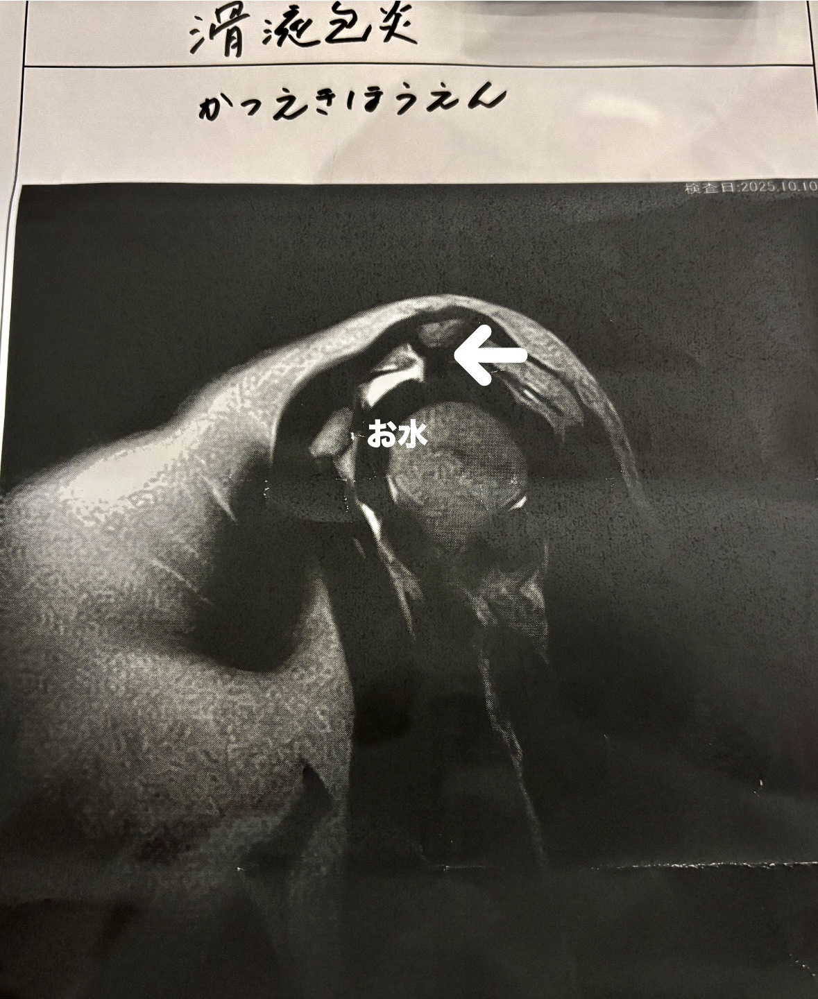 125B025F-FA61-48ED-A17E-411C6169A64B.jpeg 125B025F-FA61-48ED-A17E-411C6169A64B.jpeg