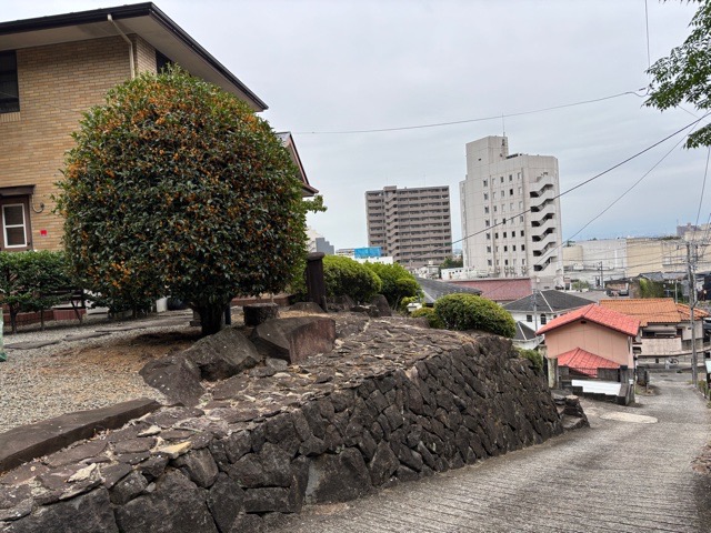 IMG_3713.jpeg IMG_3713.jpeg