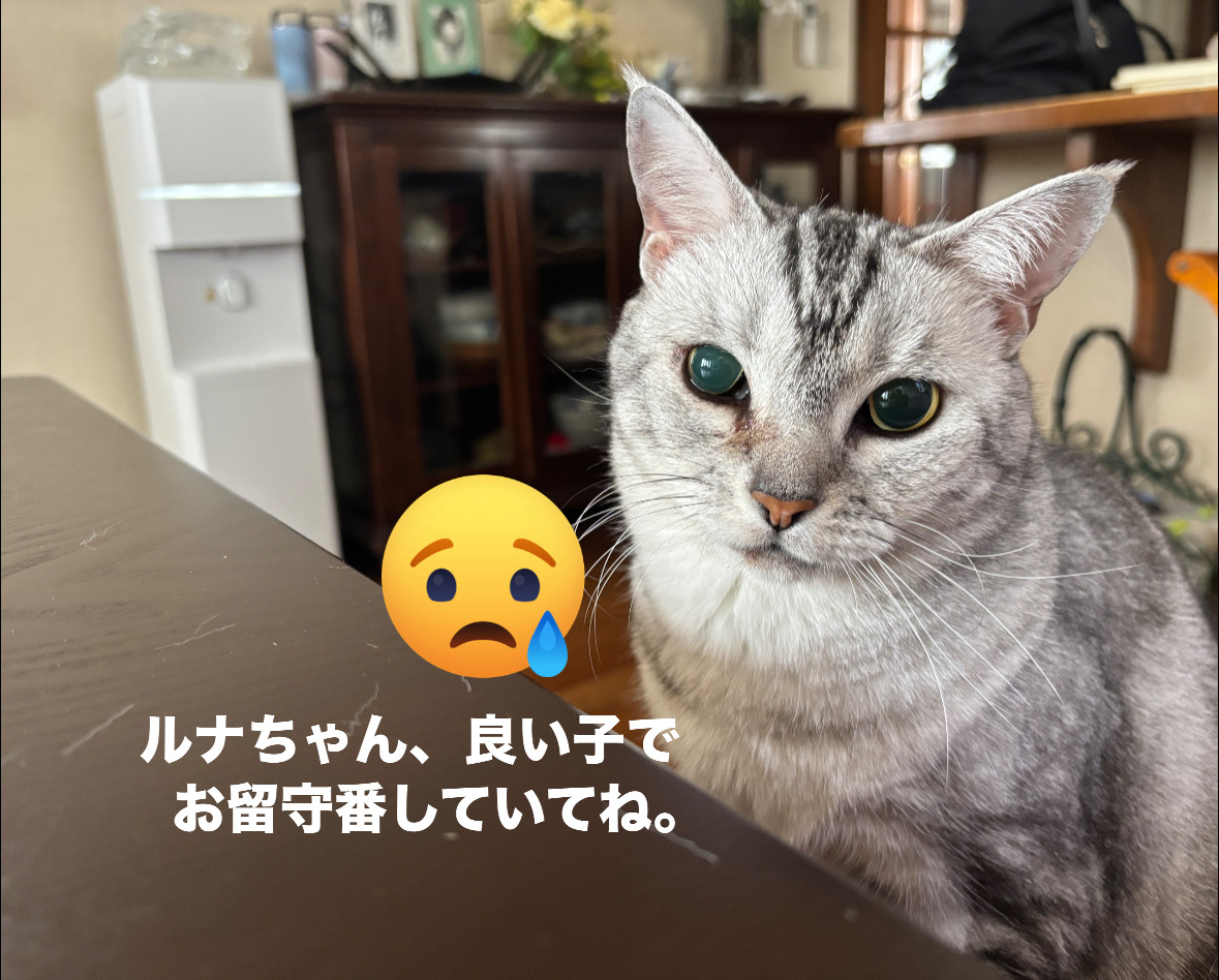 2C62EBBF-F8DE-4C85-B714-02ACD000627A.jpeg 2C62EBBF-F8DE-4C85-B714-02ACD000627A.jpeg