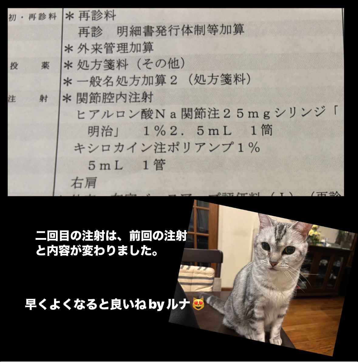 E62022E3-6480-4A2C-BD11-365ED83A3FE2.jpeg E62022E3-6480-4A2C-BD11-365ED83A3FE2.jpeg