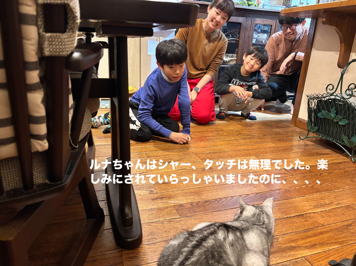 E92AA2A9-A18D-47B1-8EEB-1288D848BF84.jpeg E92AA2A9-A18D-47B1-8EEB-1288D848BF84.jpeg