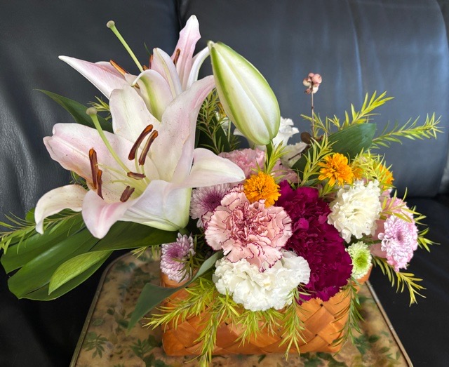 IMG_4069.jpeg IMG_4069.jpeg