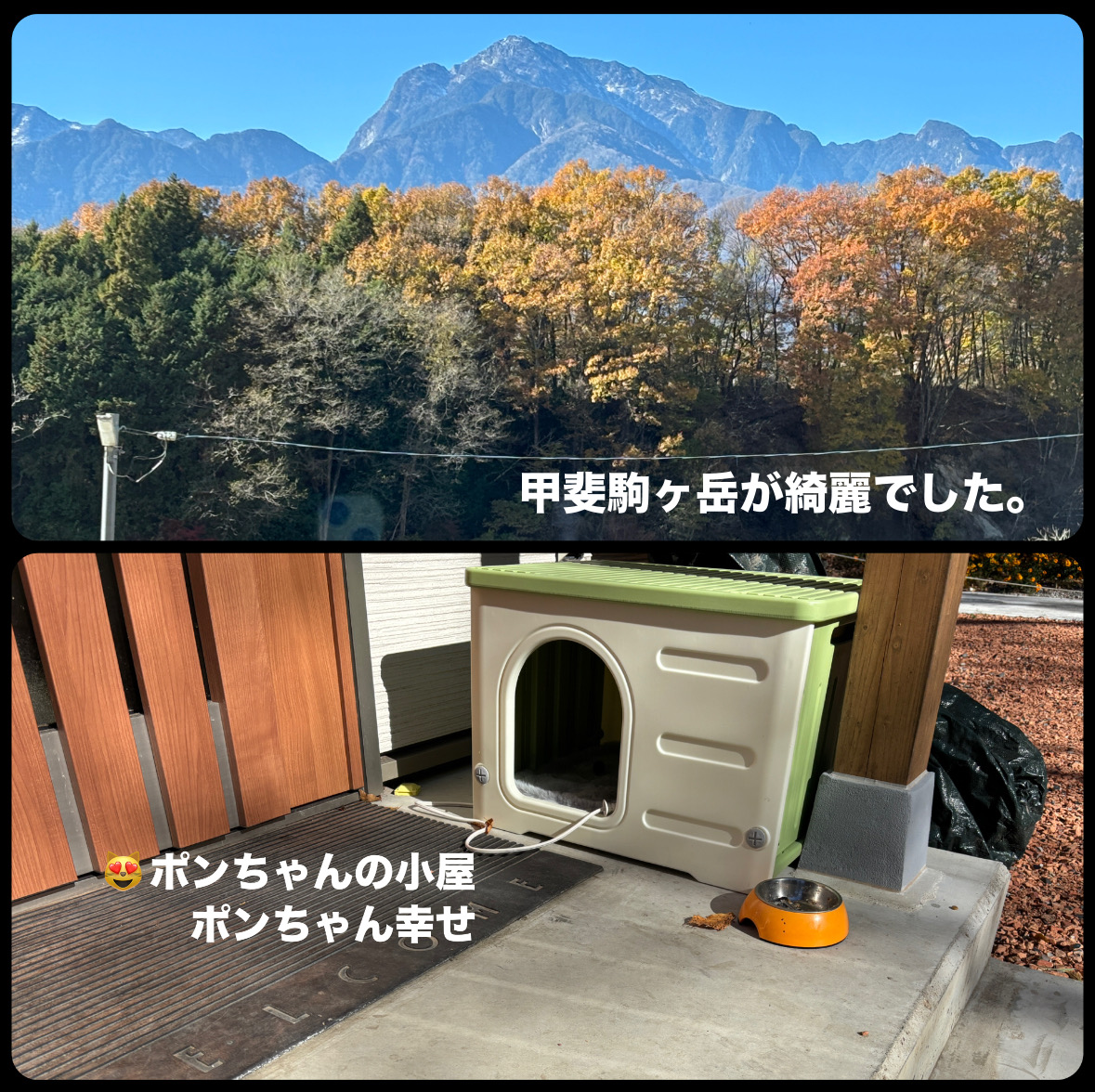 35158A12-03D6-467D-A8F1-28C5023E650C.jpeg 35158A12-03D6-467D-A8F1-28C5023E650C.jpeg