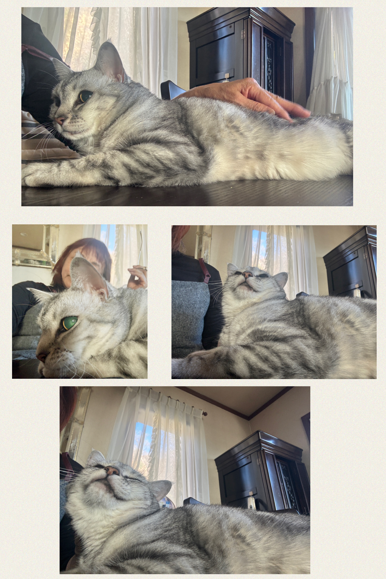 IMG_4837.jpeg IMG_4837.jpeg