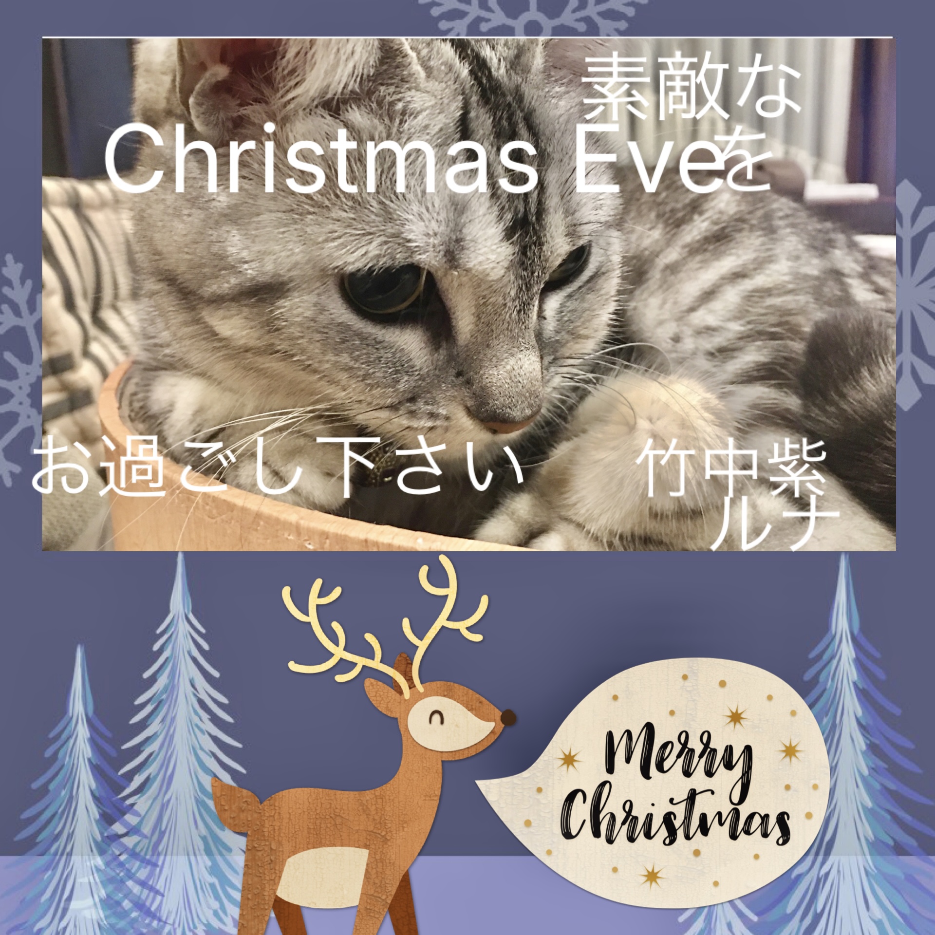 IMG_5039.jpeg IMG_5039.jpeg