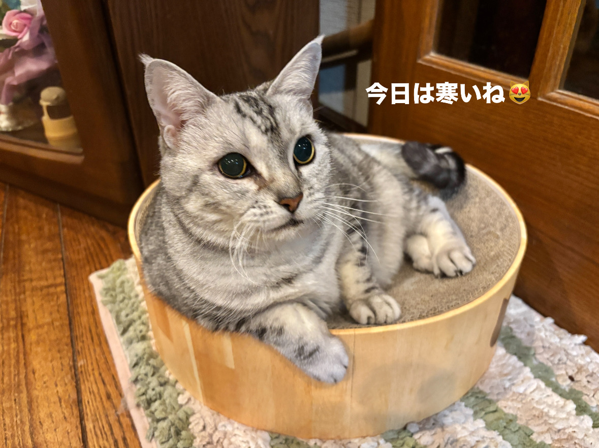 A3011B63-E2CB-46DC-B231-D24D5FCED23D.jpeg A3011B63-E2CB-46DC-B231-D24D5FCED23D.jpeg