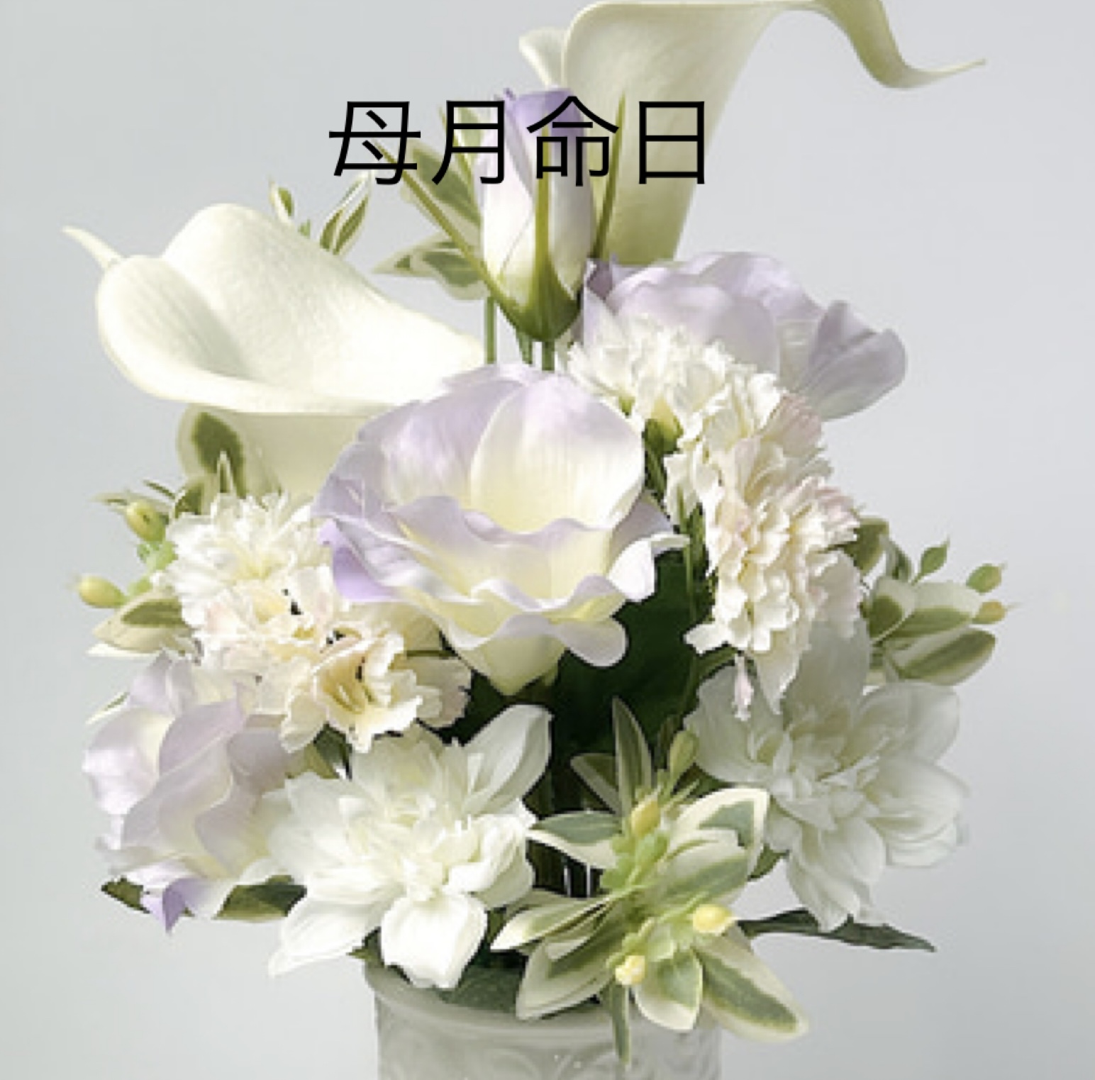 IMG_5095.jpeg IMG_5095.jpeg