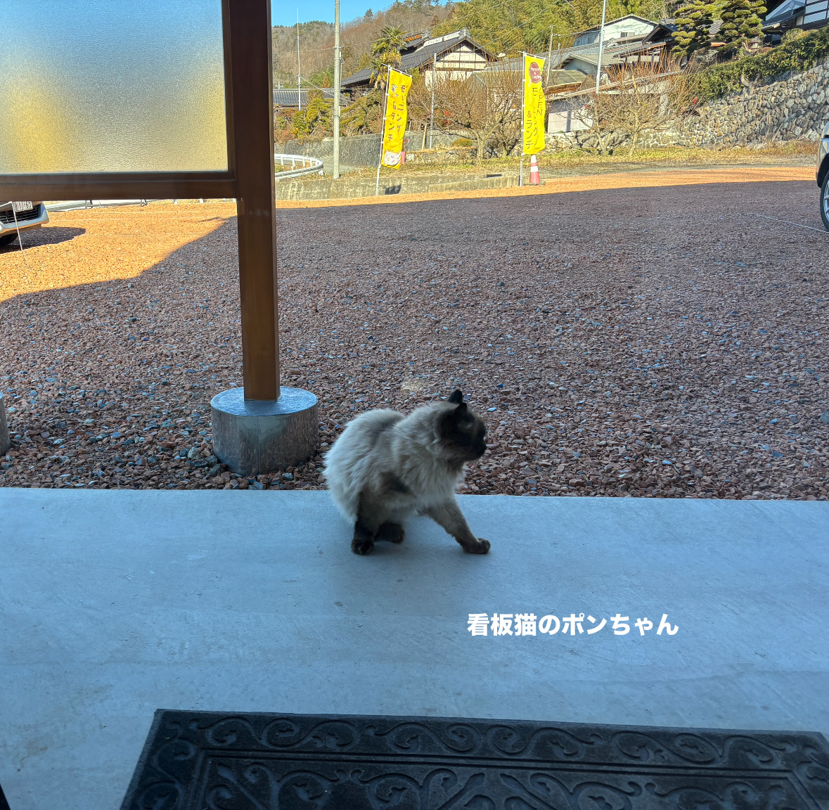 9F2EE710-97CA-43F4-9A62-C8C4A6598F82.jpeg 9F2EE710-97CA-43F4-9A62-C8C4A6598F82.jpeg