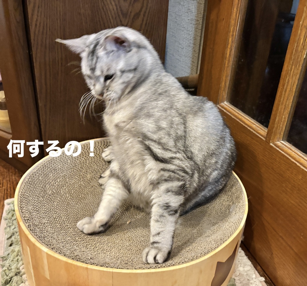 627E2FEF-7622-4EF4-ADCF-158F6FA67022.jpeg 627E2FEF-7622-4EF4-ADCF-158F6FA67022.jpeg