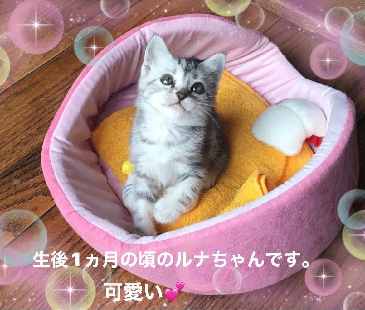 IMG_5718.jpeg IMG_5718.jpeg