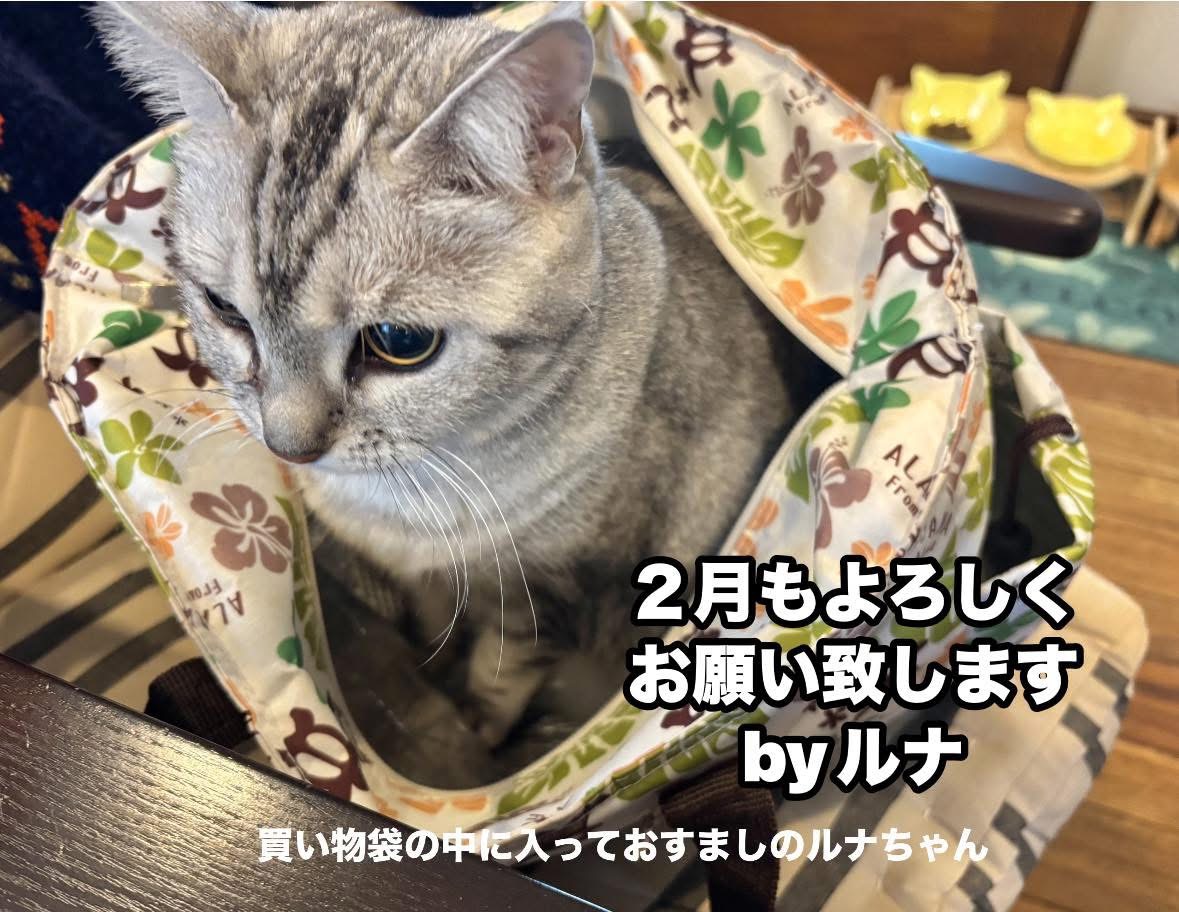 IMG_5808.jpeg IMG_5808.jpeg