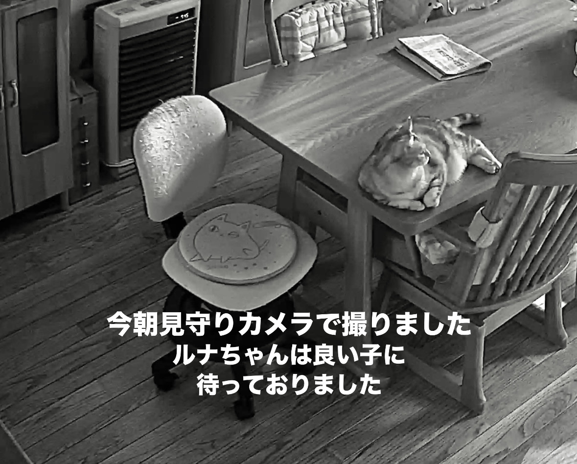 1C8346C0-BAF7-4E7A-B1B3-1B9D9C36B700.jpeg 1C8346C0-BAF7-4E7A-B1B3-1B9D9C36B700.jpeg