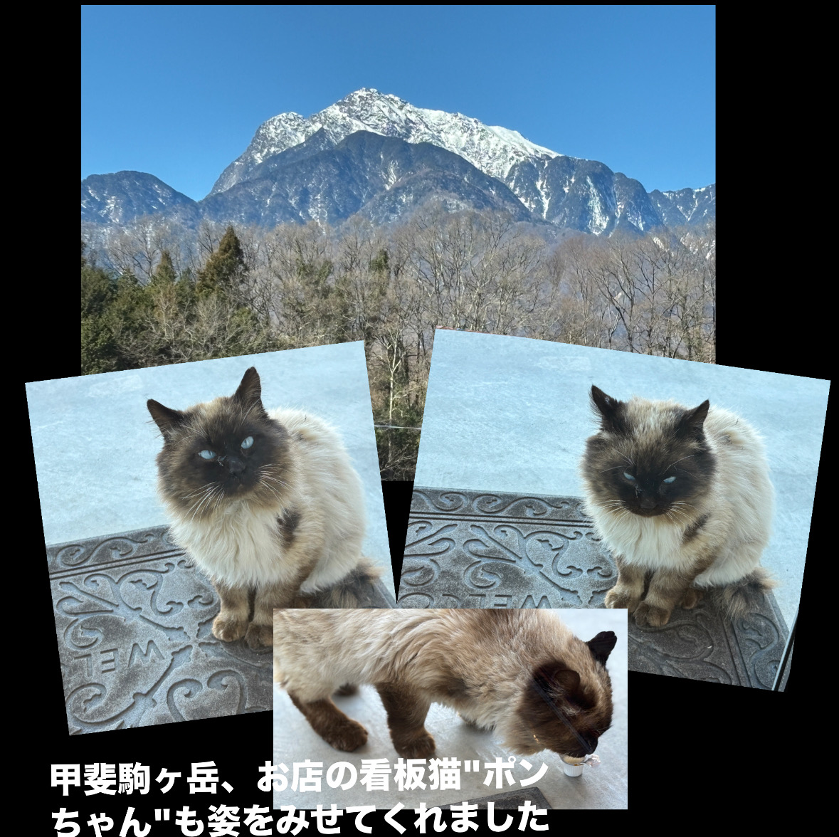 FD09BB18-3C93-409D-92BB-776E3EA44309.jpeg FD09BB18-3C93-409D-92BB-776E3EA44309.jpeg