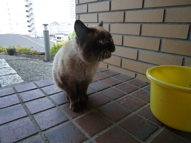P1070080.JPG