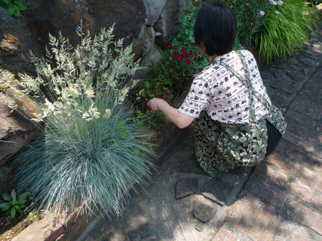 A.AH22.6.10.JPG