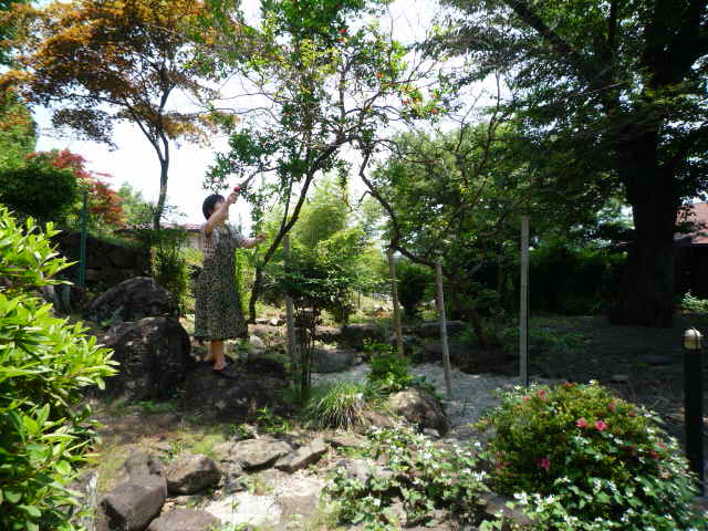 P1070480.JPG