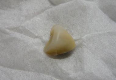 H22.6.14.JPG
