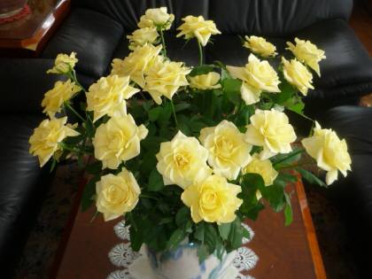 H22.22.10.26.JPG H22.10.26.JPG