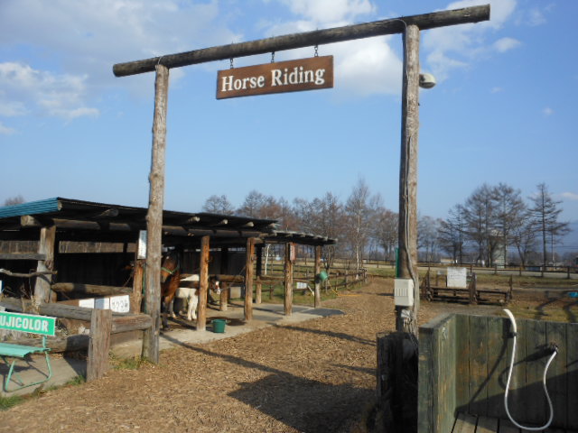 DSCN0316.JPG