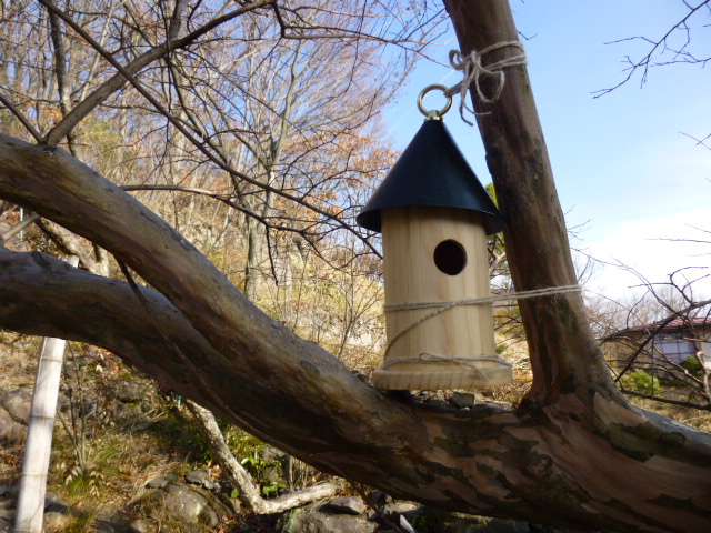 P1010862.JPG
