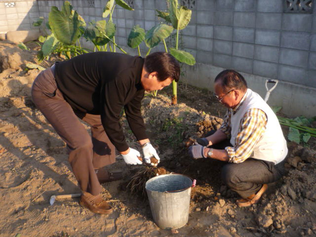 H20.11.5.JPG