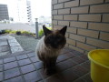 P1070081.JPG