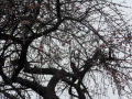 DSCN0928.JPG