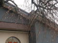 DSCN0927.JPG